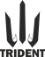 TRIDENT VA