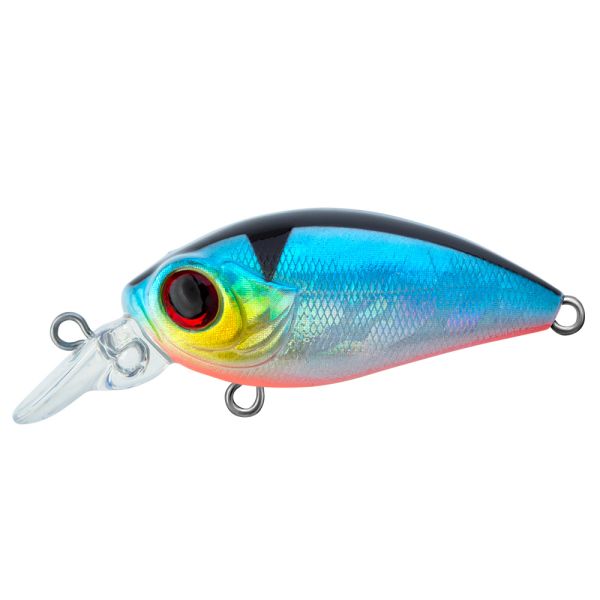 TRIDENT VA Riot SR 36F VA008