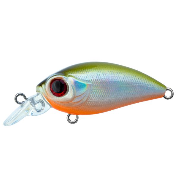 TRIDENT VA Riot SR 36F VA038