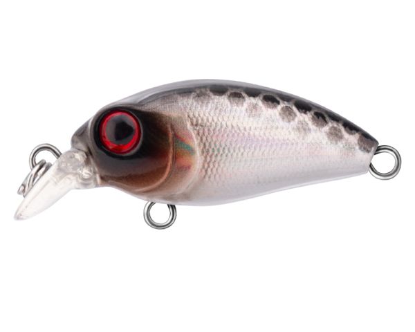 TRIDENT VA Riot SR 32F VA009