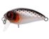 TRIDENT VA Riot SSR 36F VA009