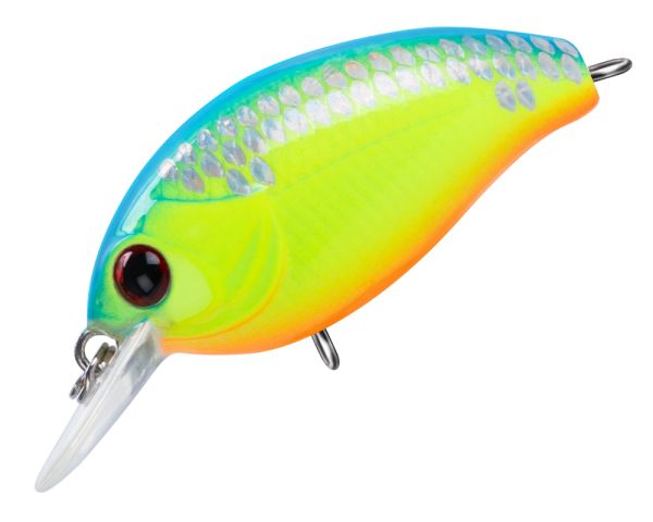 TRIDENT VA Reach SR 36F VA013S