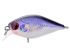TRIDENT VA Chic SR 36F VA014