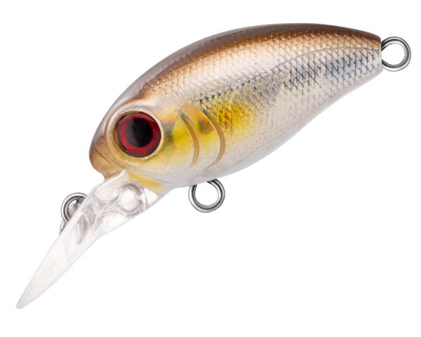 TRIDENT VA Riot DR 32F VA022