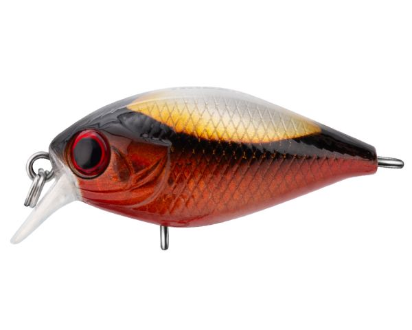 TRIDENT VA Chic SR 36F VA024