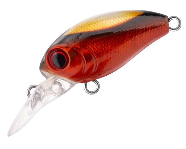 TRIDENT VA Riot DR 32F VA024