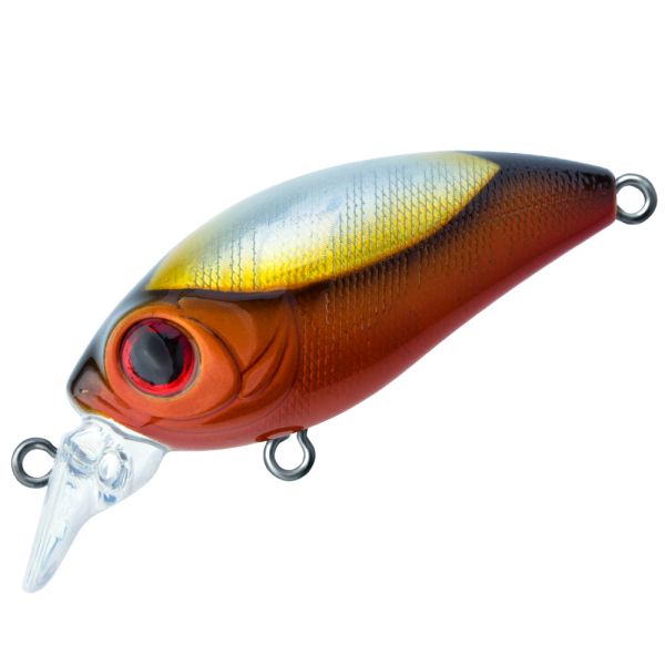 TRIDENT VA Riot SR 42F VA024