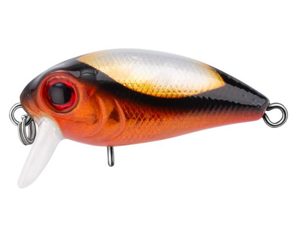 TRIDENT VA Riot SSR 36F VA024