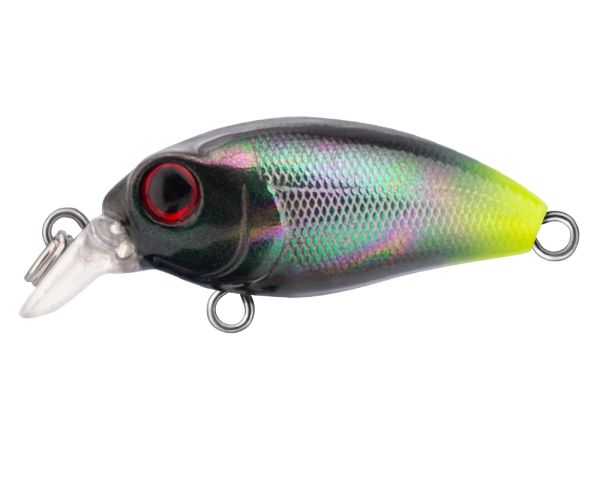 TRIDENT VA Riot SR 32F VA026