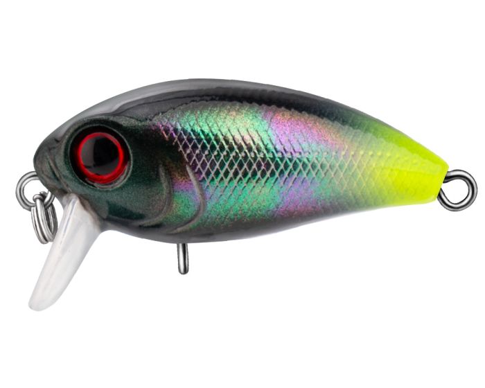 TRIDENT VA Riot SSR 36F VA026
