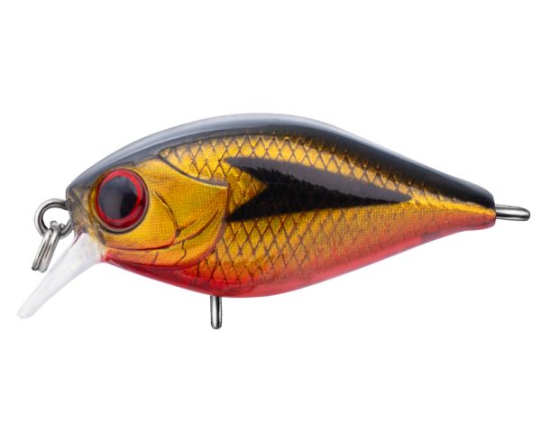 TRIDENT VA Chic SR 36F VA036