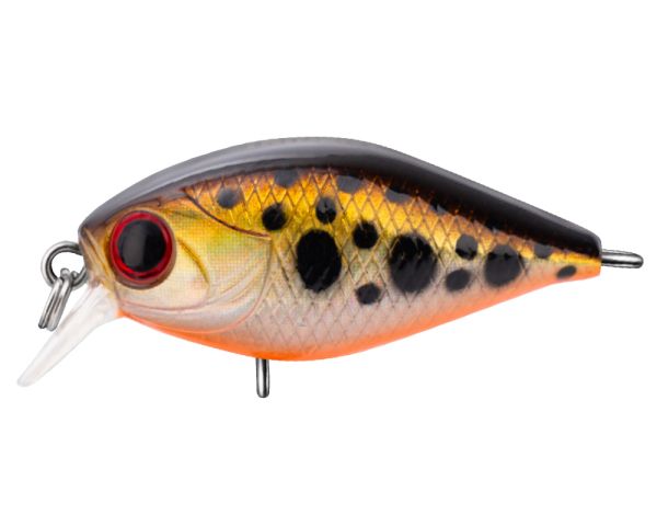 TRIDENT VA Chic SR 36F VA037
