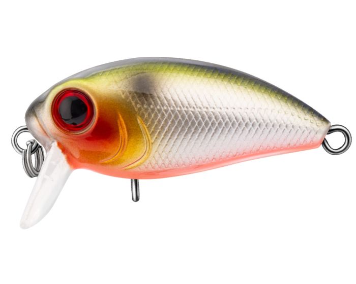 TRIDENT VA Riot SSR 36F VA039