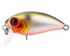 TRIDENT VA Riot SSR 36F VA039