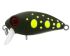 TRIDENT VA Riot SSR 36F VA054